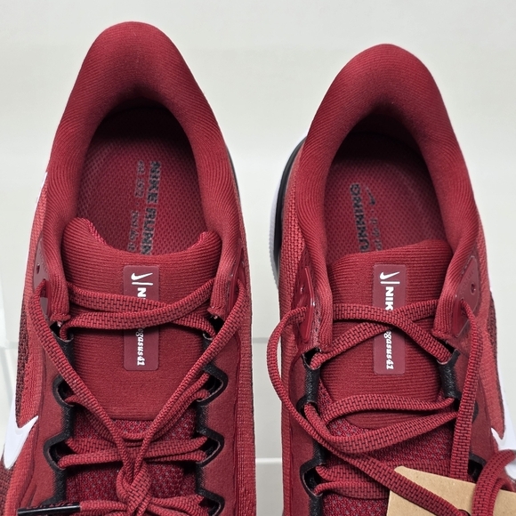 Nike Air Zoom Pegasus 41 Arizona Cardinals Running Shoe FZ5077-600 Men Sz 10 New - Picture 9 of 11